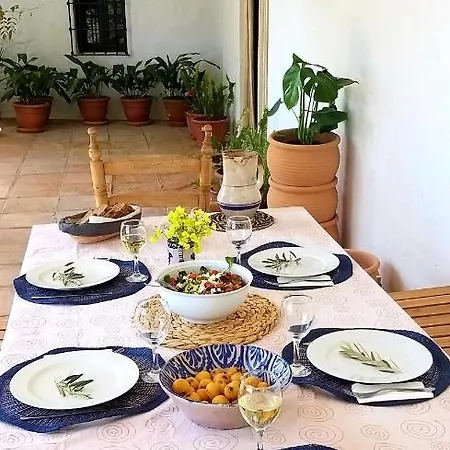 Cortijo Artist Paradise