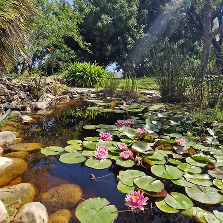 Cortijo Artist Paradise Holiday home *
