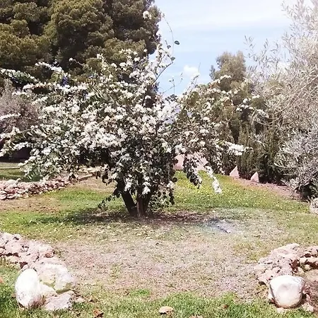 Cortijo Artist Paradise 別荘 ネルハ