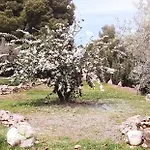 Cortijo Artist Paradise 펜션 네르하