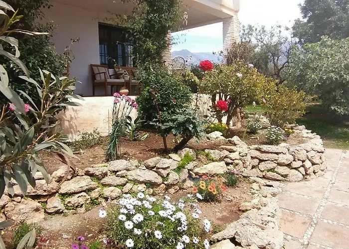 Cortijo Artist Paradise *