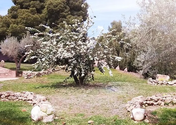 Cortijo Artist Paradise 펜션 네르하