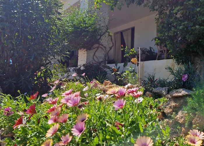 Cortijo Artist Paradise * 네르하