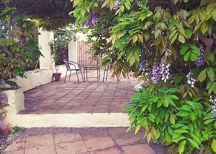 Cortijo Artist Paradise نيرخا