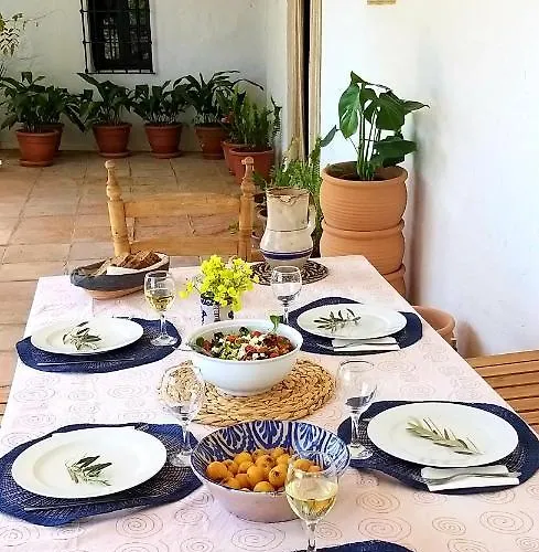 Cortijo Artist Paradise