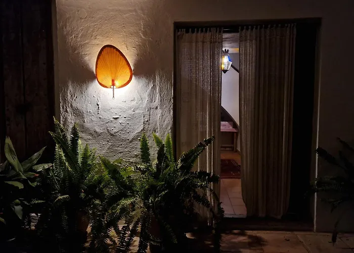 Cortijo Artist Paradise * نيرخا