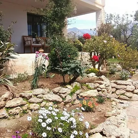 Cortijo Artist Paradise *