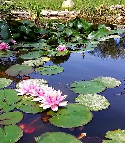 Holiday home Cortijo Artist Paradise