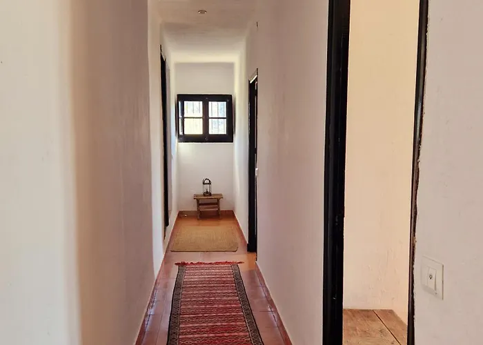 Cortijo Artist Paradise