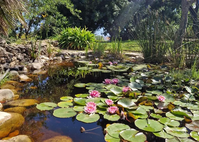 Cortijo Artist Paradise Holiday home *